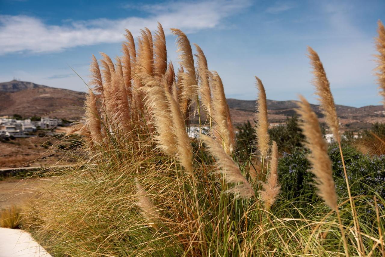 Ventu Paros Villa Marpissa Luaran gambar